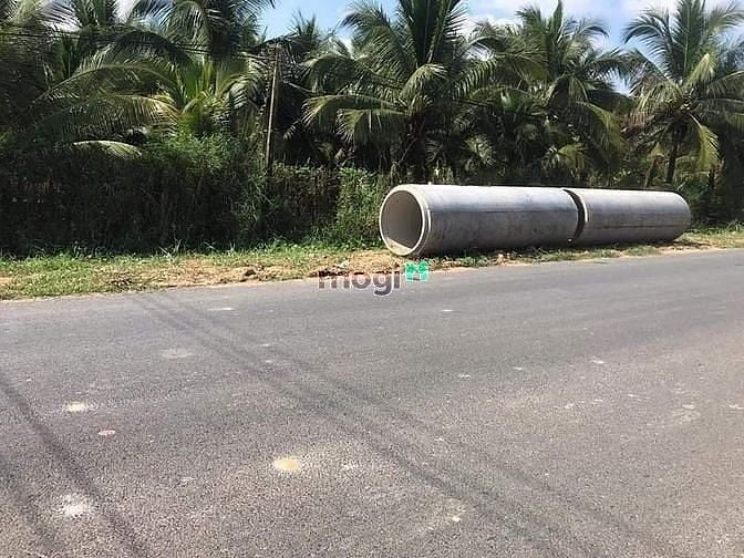Hình ảnh _Chính chủ cần bán đất thuộc:ấp bình hoà,xã phước bình,tx trảng bàng