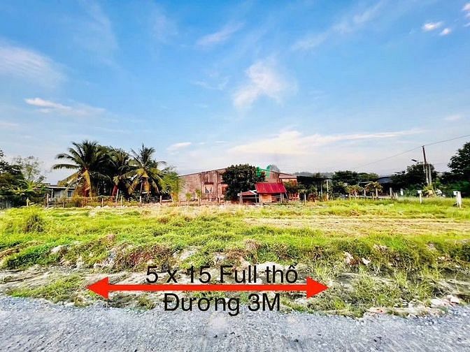 Hình ảnh XẢ LỖ GẤP LÔ 125m2 TT Hòa Thạnh chỉ 256tr FULL thổ