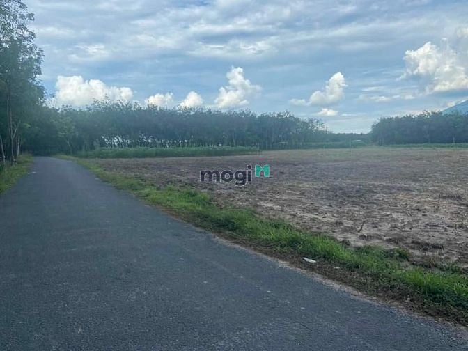 Hình ảnh BÁN ĐẤT ĐẸP GIÁ ĐẦU HỢP LÝ .... - Mô tả : Là khu vực tiềm năng phát tr