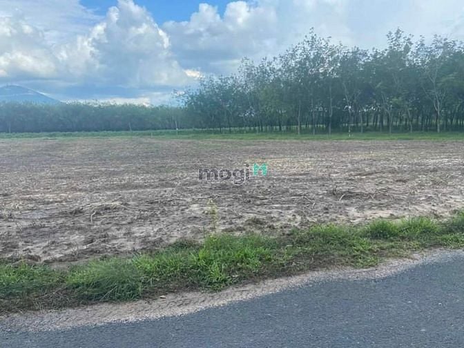 Hình ảnh BÁN ĐẤT ĐẸP GIÁ ĐẦU HỢP LÝ .... - Mô tả : Là khu vực tiềm năng phát tr