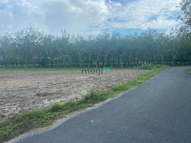 Hình ảnh BÁN ĐẤT ĐẸP GIÁ ĐẦU HỢP LÝ .... - Mô tả : Là khu vực tiềm năng phát tr