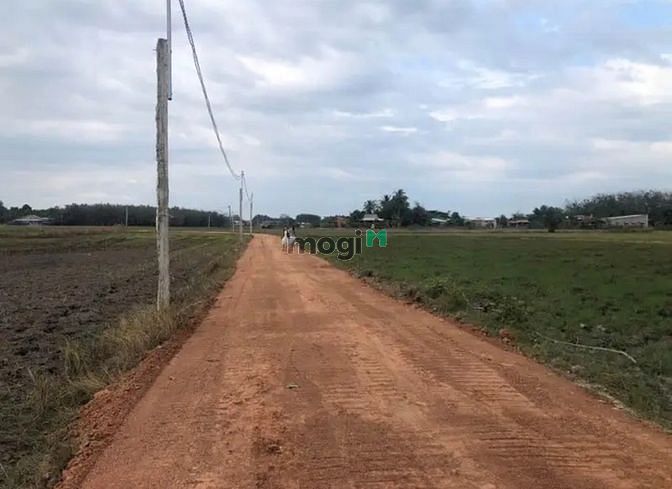 Hình ảnh CỰC PHẨM ĐẤT NỀN Bến Mương, Phước Thạnh, Gò Dầu 140m² giá chỉ 395tr