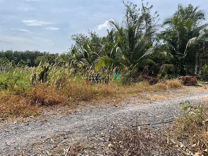 Hình ảnh CÓ MÌNH EM bán LÔ Long Thành Nam Hòa Thành 108m2 full THỔ