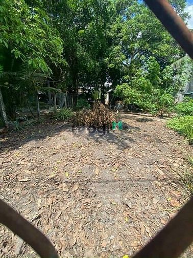 Hình ảnh Cần bán gấp ĐẤT ĐẸP NGUYỄN VĂN RỐP [TP TÂY NINH] -Diện tích: (4,92x27)