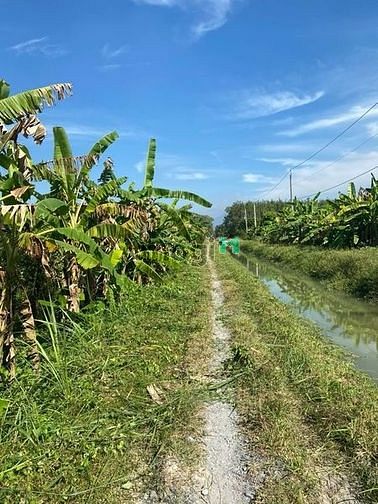Hình ảnh ‼️Chủ gửi 2,5 công đất hoà thành tây ninh Giá 1ty200 Thương lượng