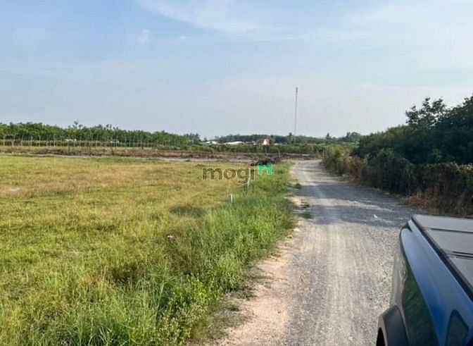 Hình ảnh Cần bán đất có thổ cư gần trường THPT Trảng Bàng Tây Ninh