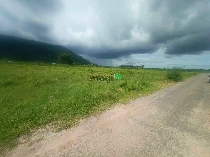 Hình ảnh [TP TÂY NINH] BÁN ĐẤT ĐẸP THUỘC TP TÂY NINH ⭕️ Vị trí: Thạnh Lợi - Thạ