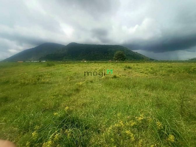 Hình ảnh [TP TÂY NINH] BÁN ĐẤT ĐẸP THUỘC TP TÂY NINH ⭕️ Vị trí: Thạnh Lợi - Thạ