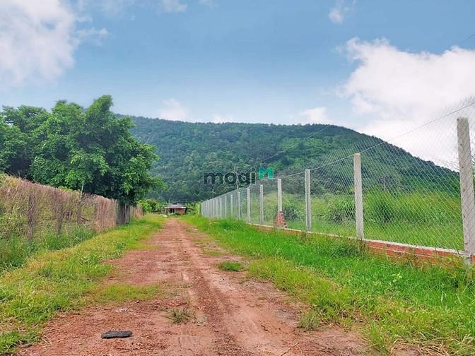 Hình ảnh Sở hữu 1000m2 đất ở gần trung tâm TP Tây Ninh siêu rẻ 👉Chỉ 780 triệu