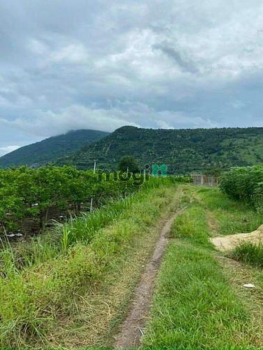 Hình ảnh CẦN BÁN ĐẤT ĐẸP THẠNH TÂN  - Ấp Thạnh Lợi , Xã Thạnh Tân , Tp Tây Ninh