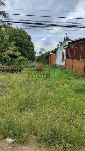 Hình ảnh *CẦN BÁN GẤP LÔ ĐẤT ĐẸP TÂN CHÂU! -Đất hiện đang có vườn chanh chuẩn