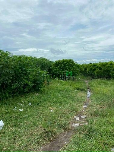 Hình ảnh CẦN BÁN ĐẤT ĐẸP THẠNH TÂN  - Ấp Thạnh Lợi , Xã Thạnh Tân , Tp Tây Ninh