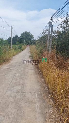 Hình ảnh Thạnh Tây, Tân Biên, Tây Ninh  DT : 50m x 30m thổ 200m2  1 sổ 30m , sổ