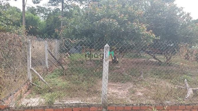 Hình ảnh Thạnh Tây, Tân Biên, Tây Ninh  DT : 50m x 30m thổ 200m2  1 sổ 30m , sổ