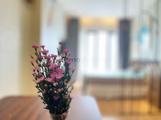 Hình ảnh Cho thuê Trang Chủ MB66.COM / Đăng Ký Tặng 66K 1PN ban công lớn _ gần Cầu Công Lý Quận 3
