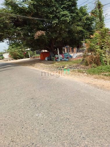 Hình ảnh 2 LÔ ĐẤT 5X30 FULL THỔ Tại xã Mỏ Công, huyện Tân Biên, tỉnh Tây Ninh.