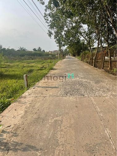 Hình ảnh 250 triệu Sát Khu cong nghiệp phước đông