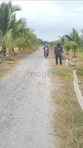 Hình ảnh Chủ gửi bán lô đất Gò Dầu, Tây Ninh giá 482 triệu thổ cư 200m2