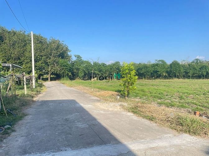 Hình ảnh THƯƠNG LƯỢNG MẠNH TAY cho khách thiện chí bán đất Ninh Thạnh TP TN