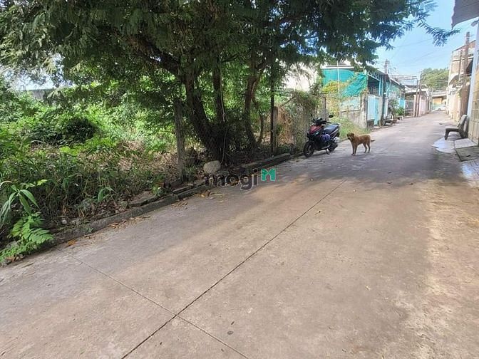 Hình ảnh Đất Khu Phố 3 - Phường 3, Thành Phố Tây Ninh - Cách Siêu thị Coopmart