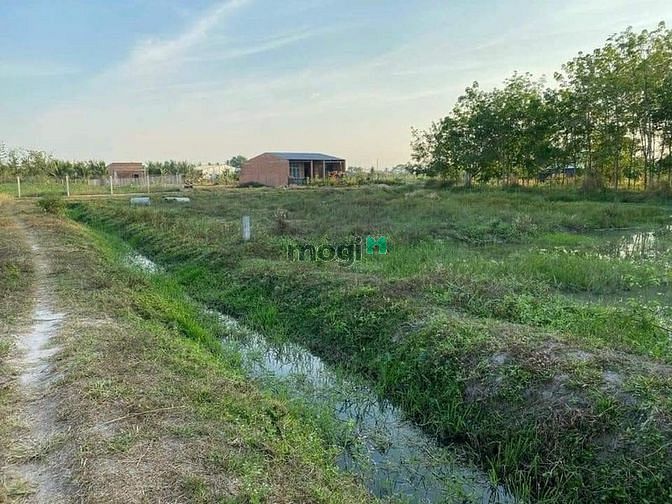 Hình ảnh còn nền quá rẻ. Dt -10.3x27 m  👉Tân Phước - TÂn bình -THPTN 👉cách đư