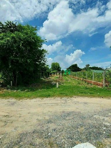 Hình ảnh cần bán gấp Đất hẻm Trần Phú vào ngã thứ 3  ✅️ Dt: 5x29 thổ cư 50m2 ✅️
