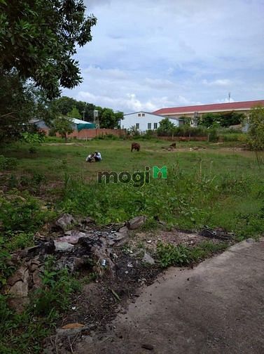 Hình ảnh Chủ gửi cần bán đất sau lưng trường THCS nguyễn thái Bình TP tây ninh