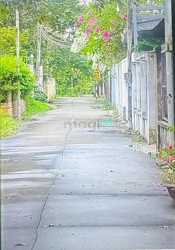Hình ảnh Chủ gửi cần bán đất sau lưng trường THCS nguyễn thái Bình TP tây ninh