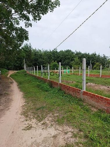 Hình ảnh KHÓ KHĂN BÁN LẸ lÔ 180m2 thổ cư chỉ 324tr Tại Hòa Thành