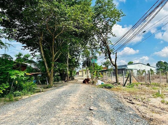 Hình ảnh đất đẹp.tai xã Long Giang bến cầu FULL THỔ CƯ
