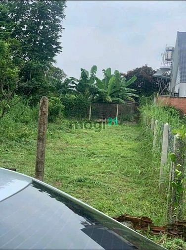 Hình ảnh Cần bán lô đất cách chợ Long Hoa, Tây Ninh chỉ 100m thổ cư 104m2 270tr