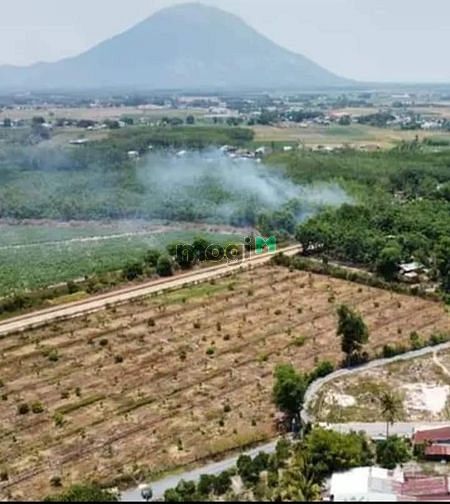 Hình ảnh Cần bán đất Tân thạnh xã Tân Hưng giáp ranh Thanh Tân TP Tây 5x27 m th