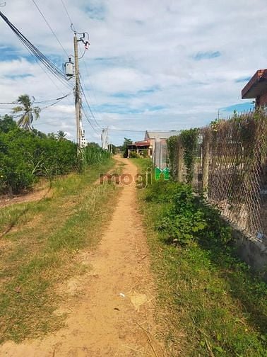 Hình ảnh Cần bán đất Tân thạnh xã Tân Hưng giáp ranh Thanh Tân TP Tây 5x27 m th