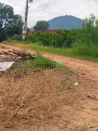 Hình ảnh Cần bán đất Tân thạnh xã Tân Hưng giáp ranh Thanh Tân TP Tây 5x27 m th