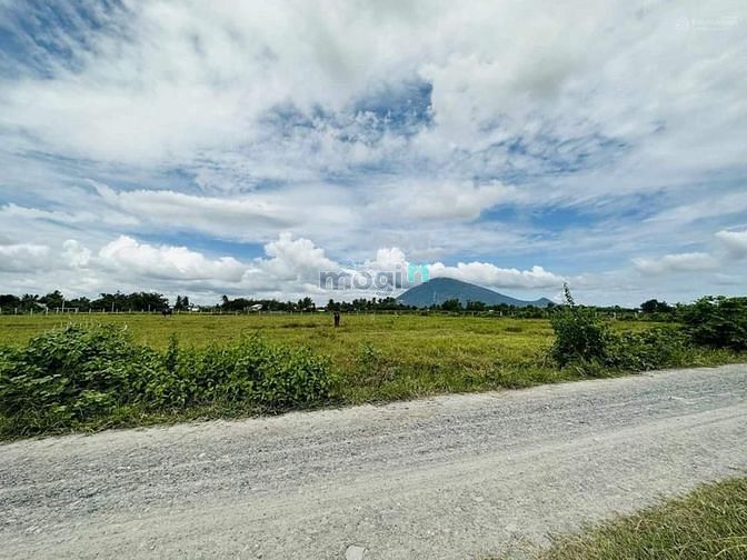 Hình ảnh BÁN ĐẤT THỔ CƯ Nguyễn Chí Thanh, DMC, 150m2, 360m2, PLRR