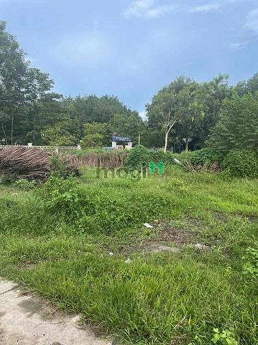 Hình ảnh Đất ở nông thôn đã có sổ đỏ; 127,6m2 chỉ 550tr