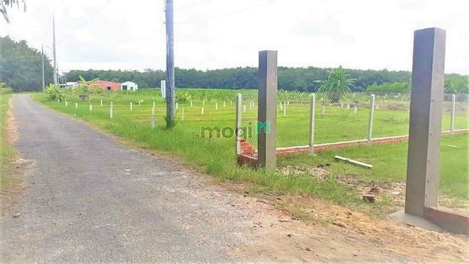 Hình ảnh Thị trường trũng giá đất TÂN BÌNH - TP. TÂY NINH giá mềm 445tr
