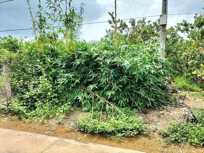 Hình ảnh Bán 4671m2 Đất 1/ QL20 xã Phú Ngọc Định Quán Đồng Nai