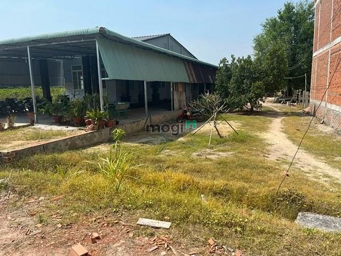 Hình ảnh Chỉ 300tr có ngay đất full thổ ở thạnh tân Dt 115m hết đất chỉ 550tr