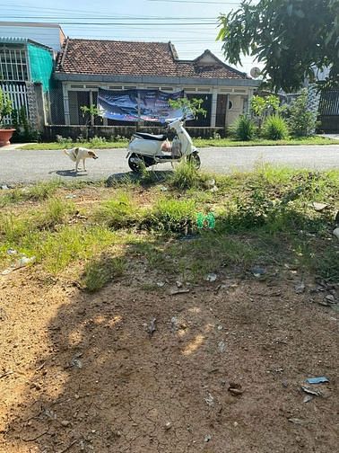 Hình ảnh XOAY VỐN BÁN ĐẤT Trần Hưng Đạo P2 TP Tây Ninh 100m² giá 720tr