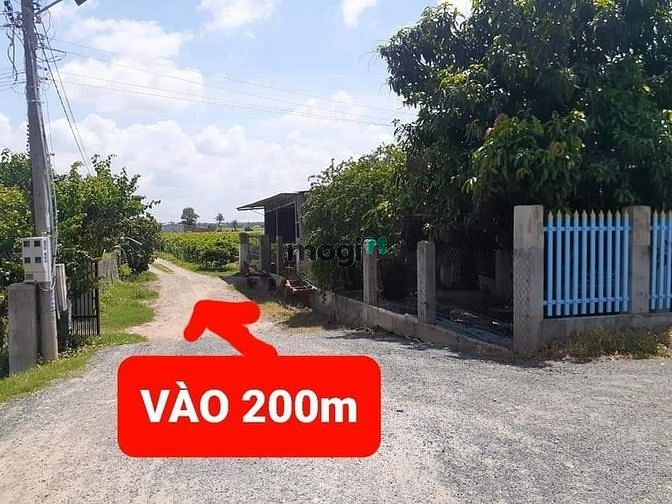 Hình ảnh 8 x 44, full thổ cư, khu dân cư, cách BX Củ Chi 60km, cách DT 785 ch