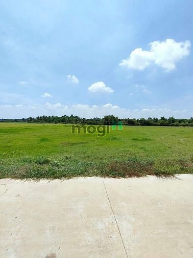 Hình ảnh Bán đất 1 sẹc đường TL786, P.1, TP Tây Ninh,10x110 lúa, full thổ cư, l