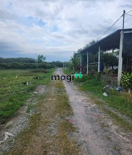 Hình ảnh Bán gấp lô đất vị trí đẹp - Diện tích 252m² thổ cư - Giá bán: 630tr