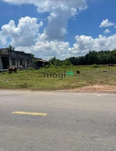 Hình ảnh CÔNG CHỨNG TRONG NGÀY ĐẤT Đặng Văn Lý TP Tây Ninh 149m² giá 770tr