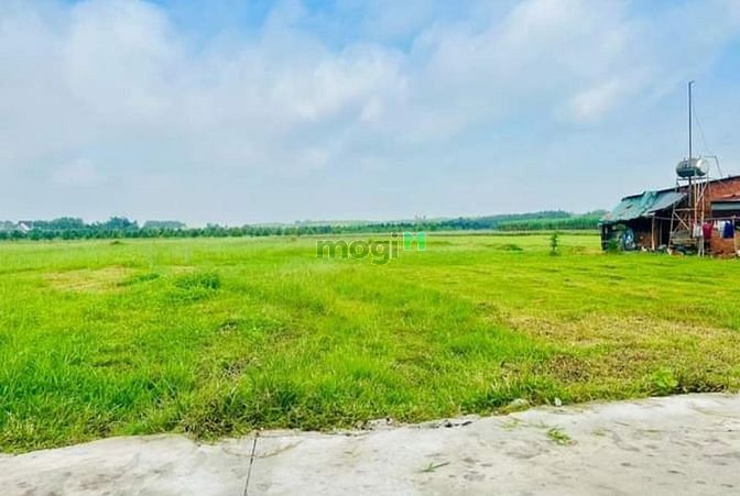 Hình ảnh BỂ NỢ BÁN ĐẤT Phạm Văn Chiêu, Thạnh Tân, Tây Ninh giá 570tr sổ hồng