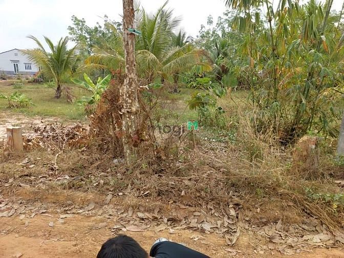 Hình ảnh 2 LÔ ĐẤT 5X30 FULL THỔ Tại xã Mỏ Công, huyện Tân Biên, tỉnh Tây Ninh.