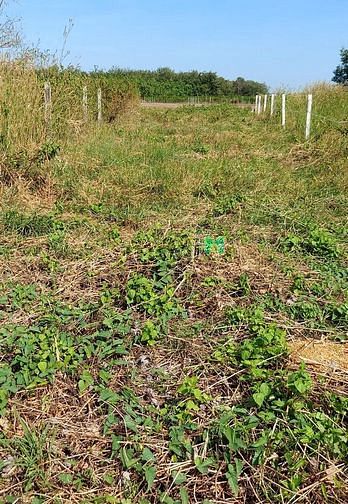 Hình ảnh Chính chủ có đất cần bán 300m2