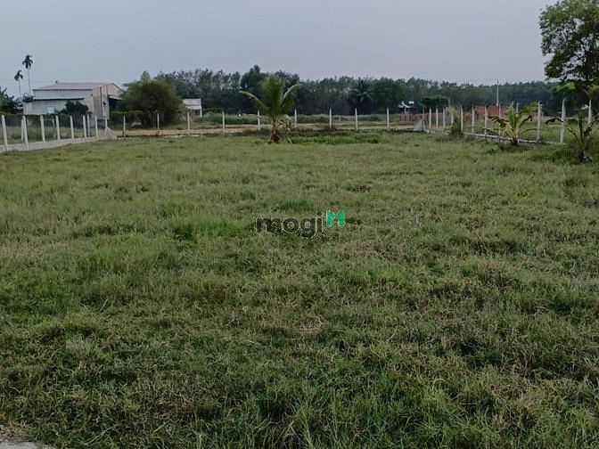 Hình ảnh MIẾNG BÁNH THƠM đất Phước Đông, Tây Ninh, 100m2, 599 triệu, SHR