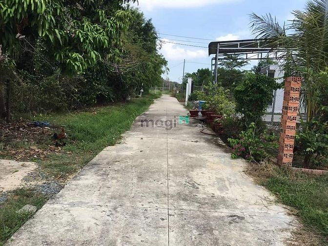 Hình ảnh Cần bán đất chính chủ khu phố ninh phúc.phường ninh Thạnh.TpTây Ninh