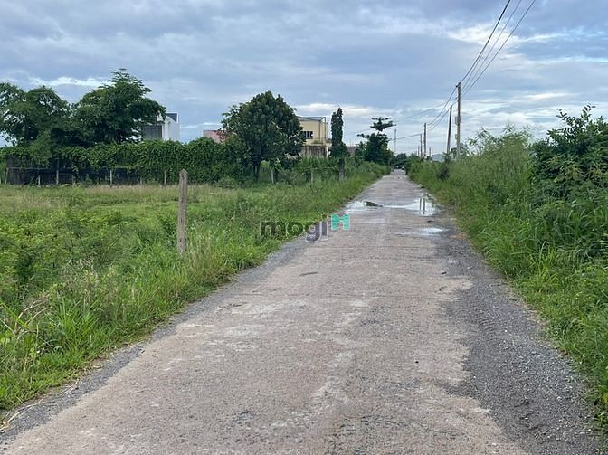 Hình ảnh Đất mặt tiền Liên Thôn, Diên Sơn, cách đường Đồng Khởi chỉ 500m